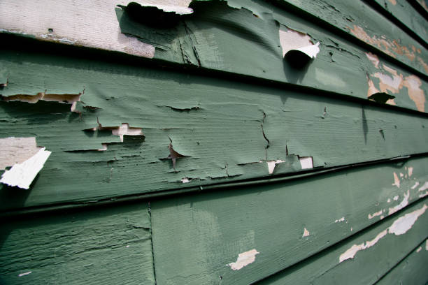 Affordable siding repair and maintenance services in Ripley, OH