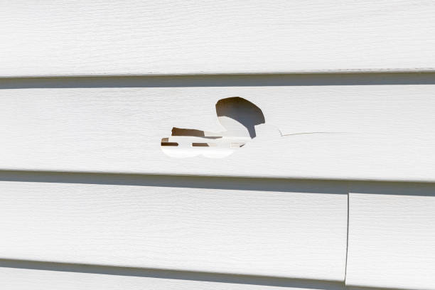 Custom Trim and Detailing for Siding in Ripley, OH